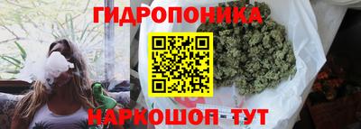 гидропоника Славгород