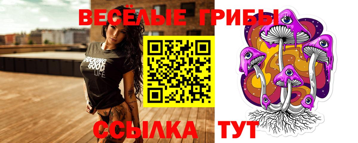 Орёл  Галлюциногенные грибы MAGIC MUSHROOMS  Вход с VPN 
